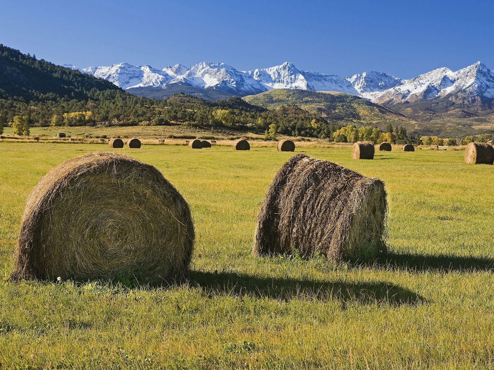  El espacio rural en América Latina Geografía Política y Socio económica